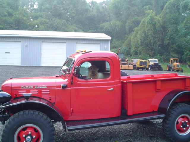 Our Dog Samatha,waiting for a ride!
She loves to ride.
