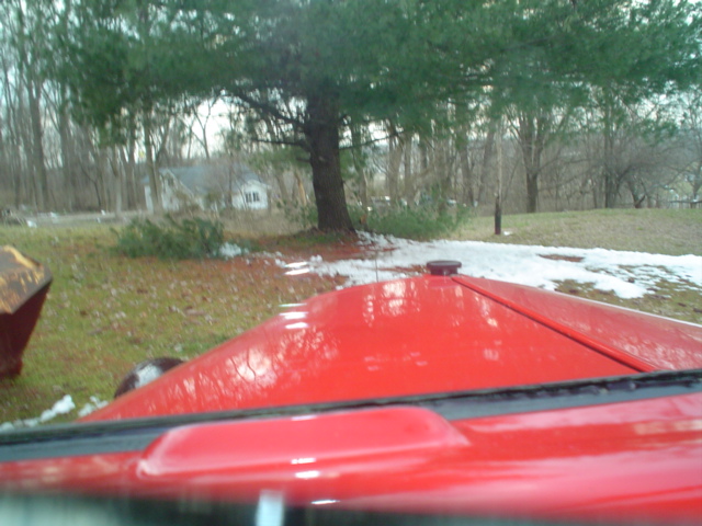 Power_Wagon_Winch_tree_removal_3-28-13_004.jpg