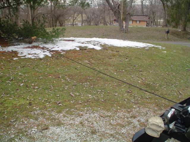 Power_Wagon_Winch_tree_removal_3-28-13_005.jpg