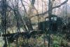 WoodLot2