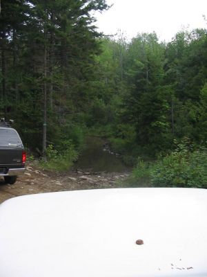 The Water Hole
