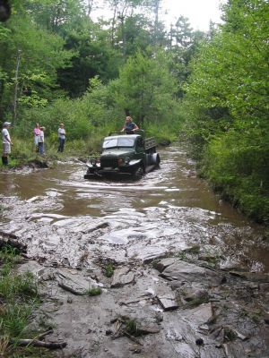 Bob Cocivi in the Water Hole
