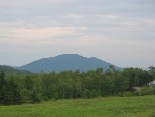 IMG_5428.jpg