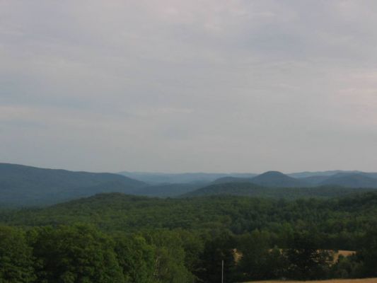 IMG_5430.jpg