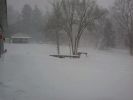 Snow_Storm_1-5-14__2.jpg