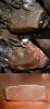 Filename=transfer_cases.jpg
Filesize=393KiB
Dimensions=900x1919
Date added=May 12, 2006 transfer_cases.jpg