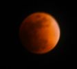 DSC_8057a.jpg
