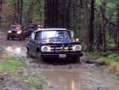 Filename=WV PW rally 367.jpg
Filesize=104KiB
Dimensions=1024x768
Date added=Oct 26, 2005 WV PW rally 367.jpg